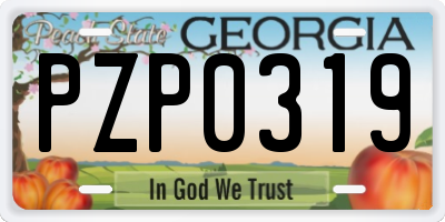GA license plate PZP0319