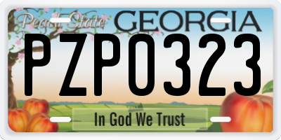 GA license plate PZP0323
