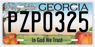 GA license plate PZP0325