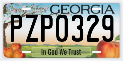 GA license plate PZP0329