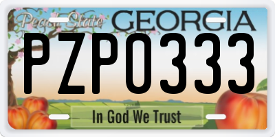 GA license plate PZP0333