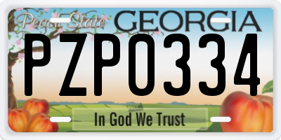 GA license plate PZP0334