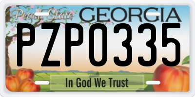 GA license plate PZP0335