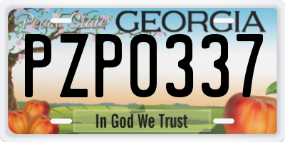 GA license plate PZP0337