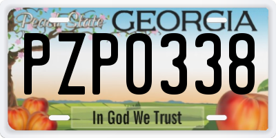 GA license plate PZP0338
