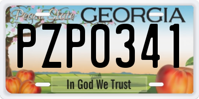 GA license plate PZP0341