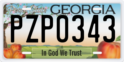 GA license plate PZP0343