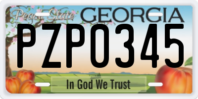 GA license plate PZP0345