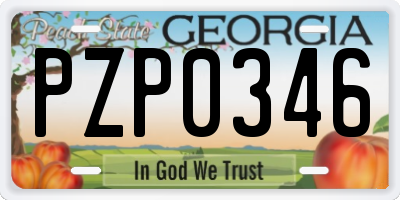 GA license plate PZP0346