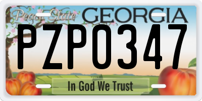 GA license plate PZP0347