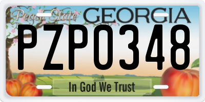 GA license plate PZP0348