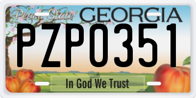 GA license plate PZP0351