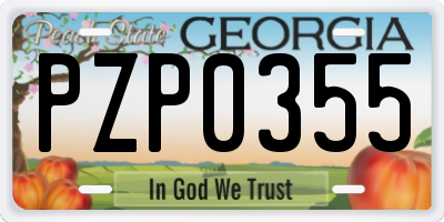 GA license plate PZP0355