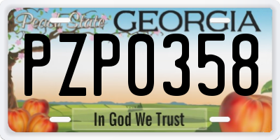 GA license plate PZP0358
