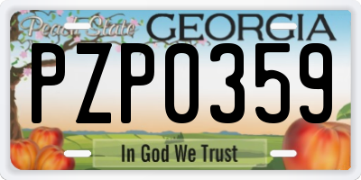 GA license plate PZP0359