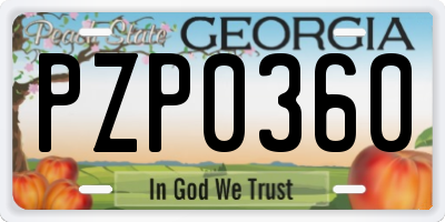GA license plate PZP0360