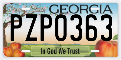GA license plate PZP0363