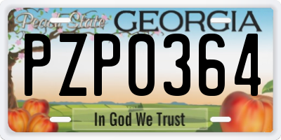 GA license plate PZP0364
