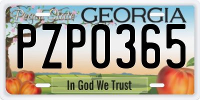 GA license plate PZP0365