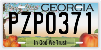 GA license plate PZP0371