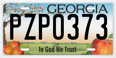 GA license plate PZP0373