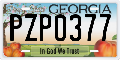 GA license plate PZP0377