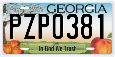GA license plate PZP0381