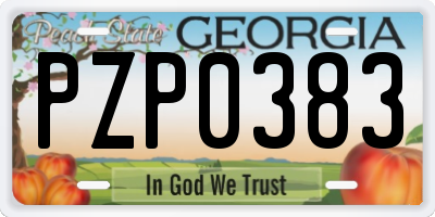 GA license plate PZP0383