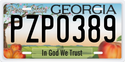GA license plate PZP0389