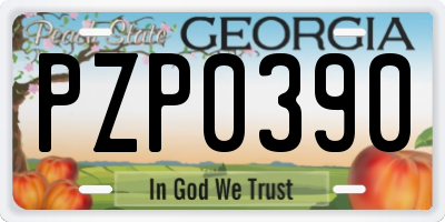 GA license plate PZP0390