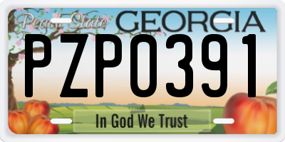 GA license plate PZP0391