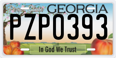 GA license plate PZP0393