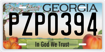 GA license plate PZP0394