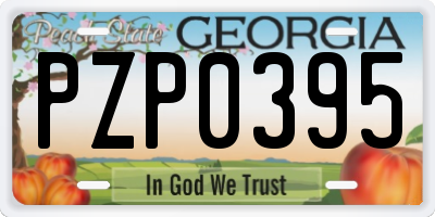 GA license plate PZP0395