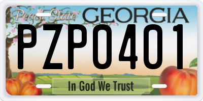 GA license plate PZP0401