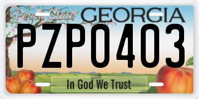 GA license plate PZP0403