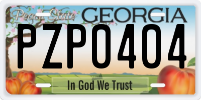 GA license plate PZP0404