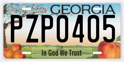 GA license plate PZP0405