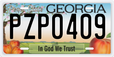 GA license plate PZP0409