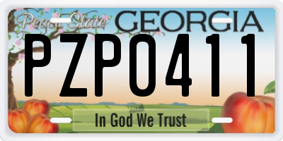 GA license plate PZP0411