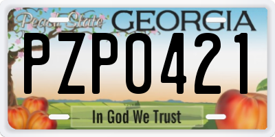 GA license plate PZP0421