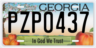 GA license plate PZP0437