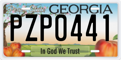 GA license plate PZP0441