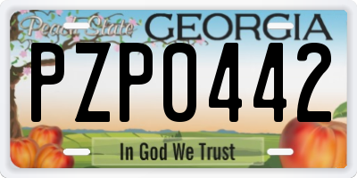 GA license plate PZP0442