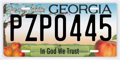 GA license plate PZP0445