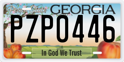 GA license plate PZP0446