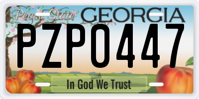GA license plate PZP0447