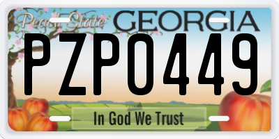 GA license plate PZP0449