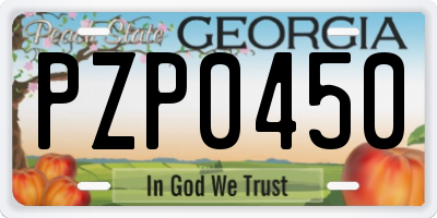 GA license plate PZP0450