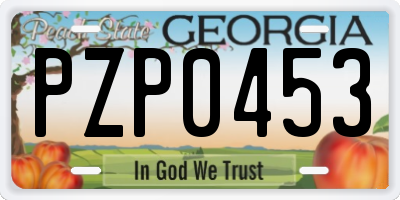 GA license plate PZP0453
